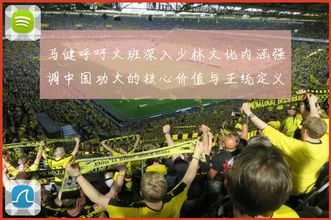 马健呼吁文班深入少林文化内涵强调中国功夫的核心价值与正统定义